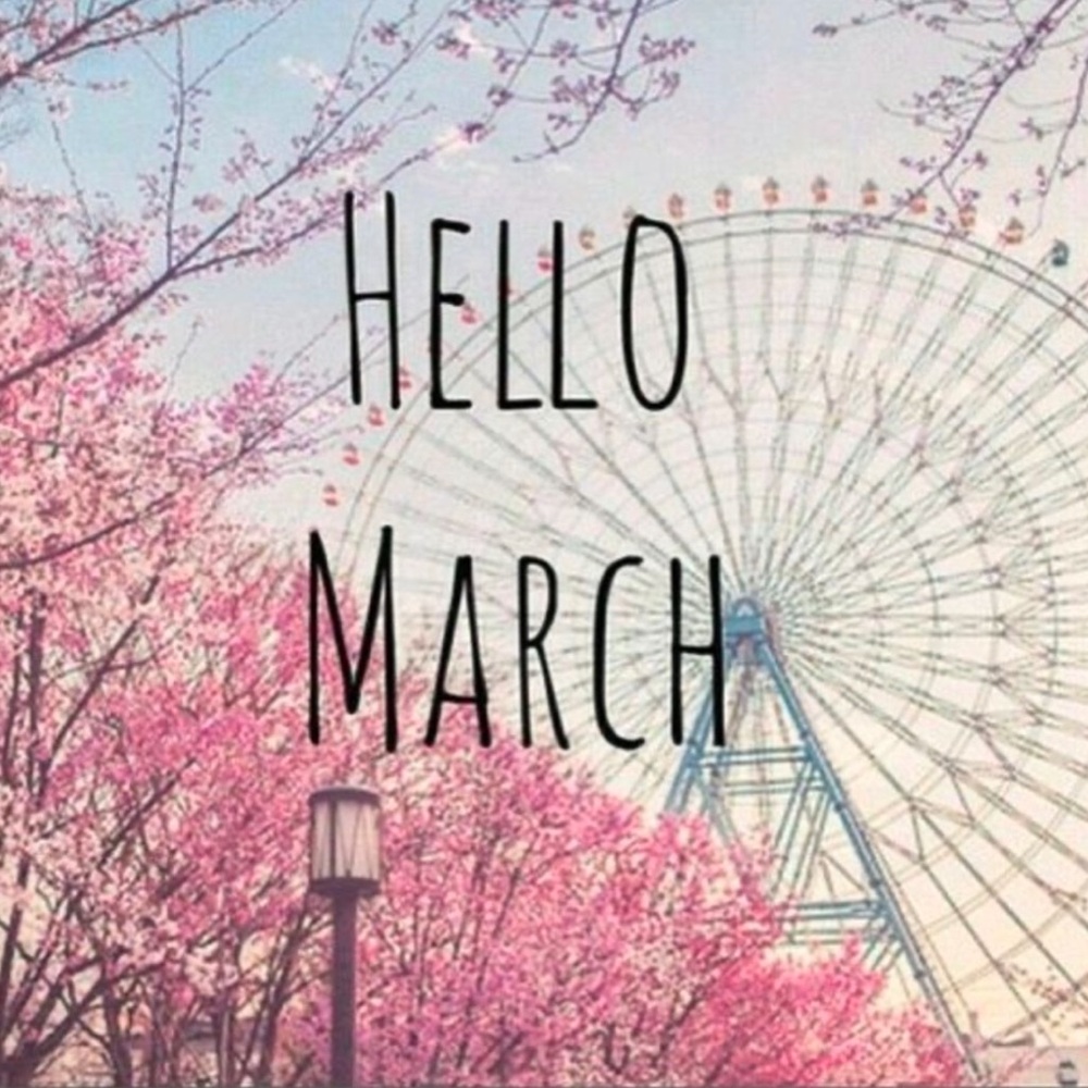 ✨Clear Out Sale ✨ - Picture 16 of 16